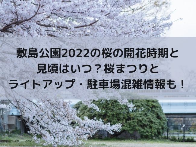 敷島公園　2022　桜見頃